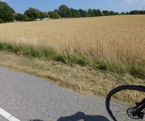 Biking the peaceful countryside on island of Møn Denmark